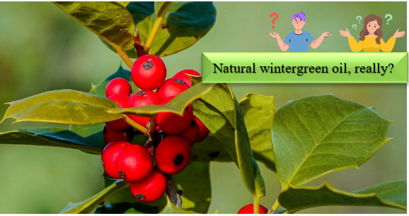 Minyak Wintergreen - Bagaimana bahan sintetis dapat diidentifikasi dan diuji kealamiannya?